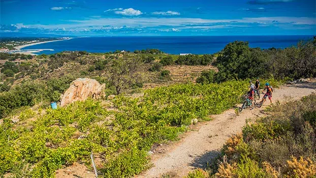 location velo argeles sur mer camping del mar