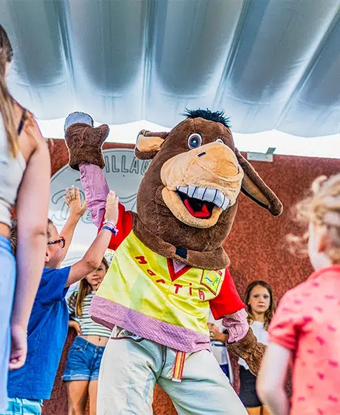 camping del mar animations