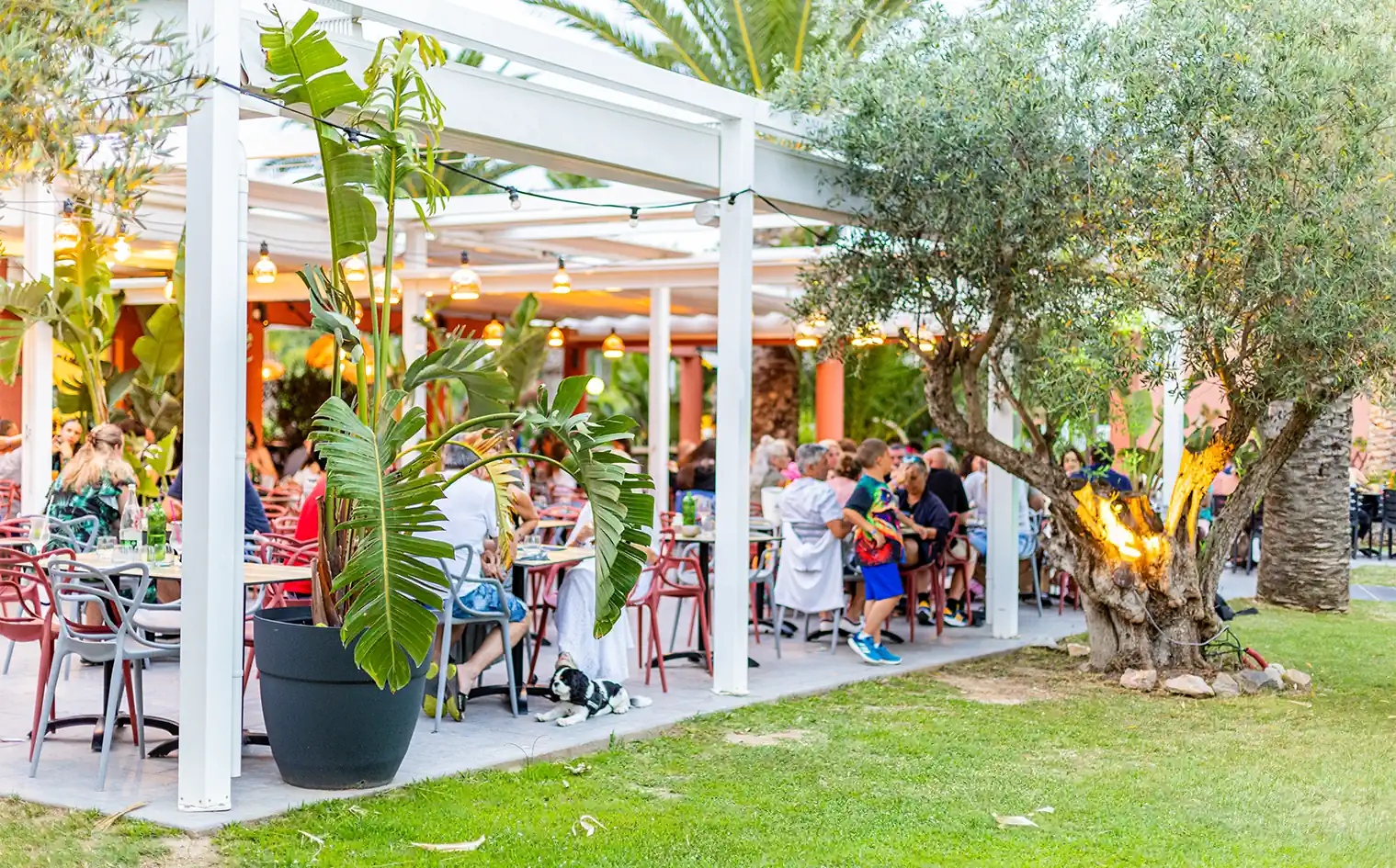 Mediterranean cuisine in our restaurant