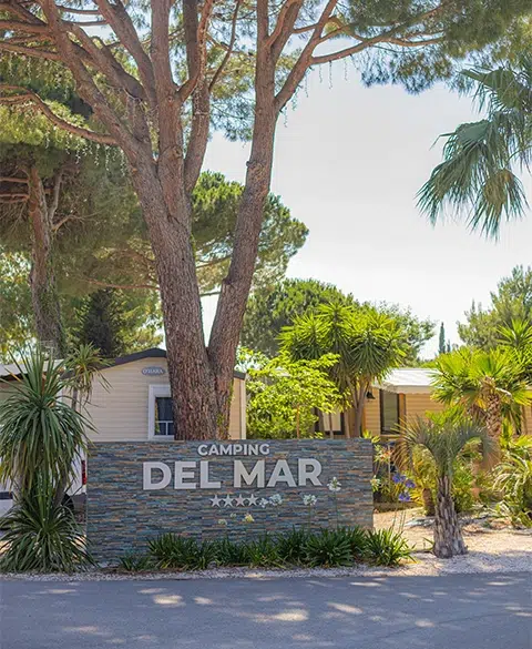 del mar quality approach