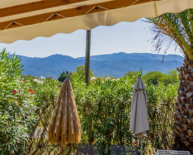 immersion in nature with comfort at your fingertips